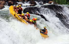 nyanasafaris's tweet image. 🛶 Jinja Adventure Safari
2 Days | Rafting + Horse Riding + Source of the Nile Visit
Adventure lives here — jump in!
📞 Reserve: +256 702 674 064
#JinjaAdventure #NileSafari