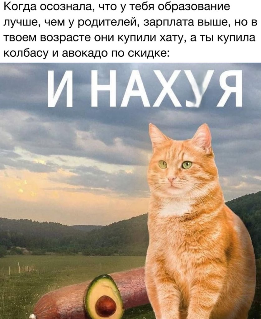 treschenko24's tweet photo. И смешно и грустно https://t.co/CXo0aad97h