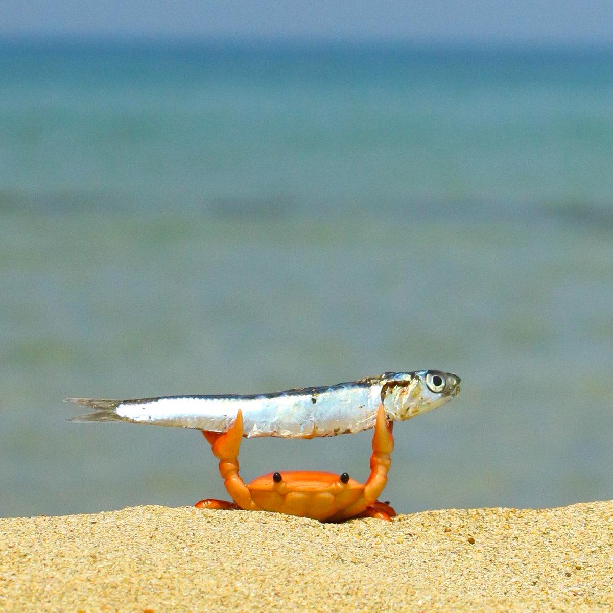 post