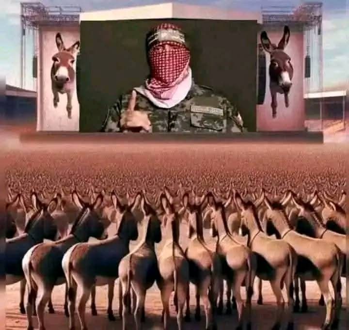 أبو صهيب و سلمان الجزائري (@zeribi_l) on Twitter photo 