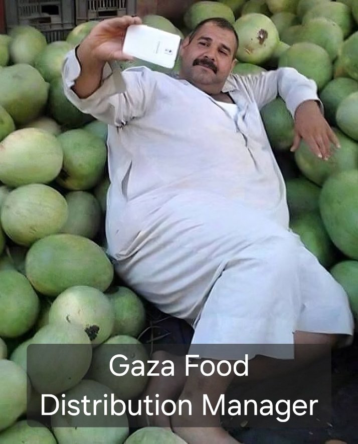 <a href="/GAZAWOOD1/">GAZAWOOD - the PALLYWOOD saga</a> They all look emaciated.  Please send Ozempic.