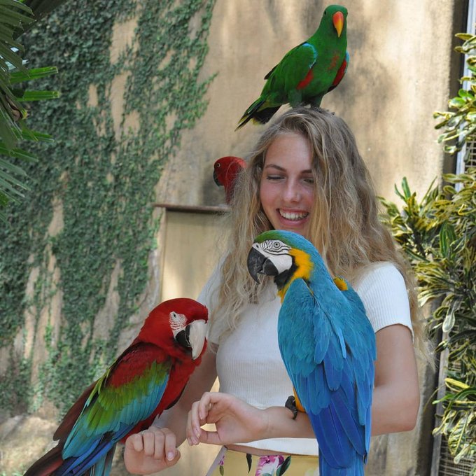 MelaniaFrance's tweet image. Sur une échelle de 1 à 10, à quel point cette photo est-elle belle ?💕🐣🐓