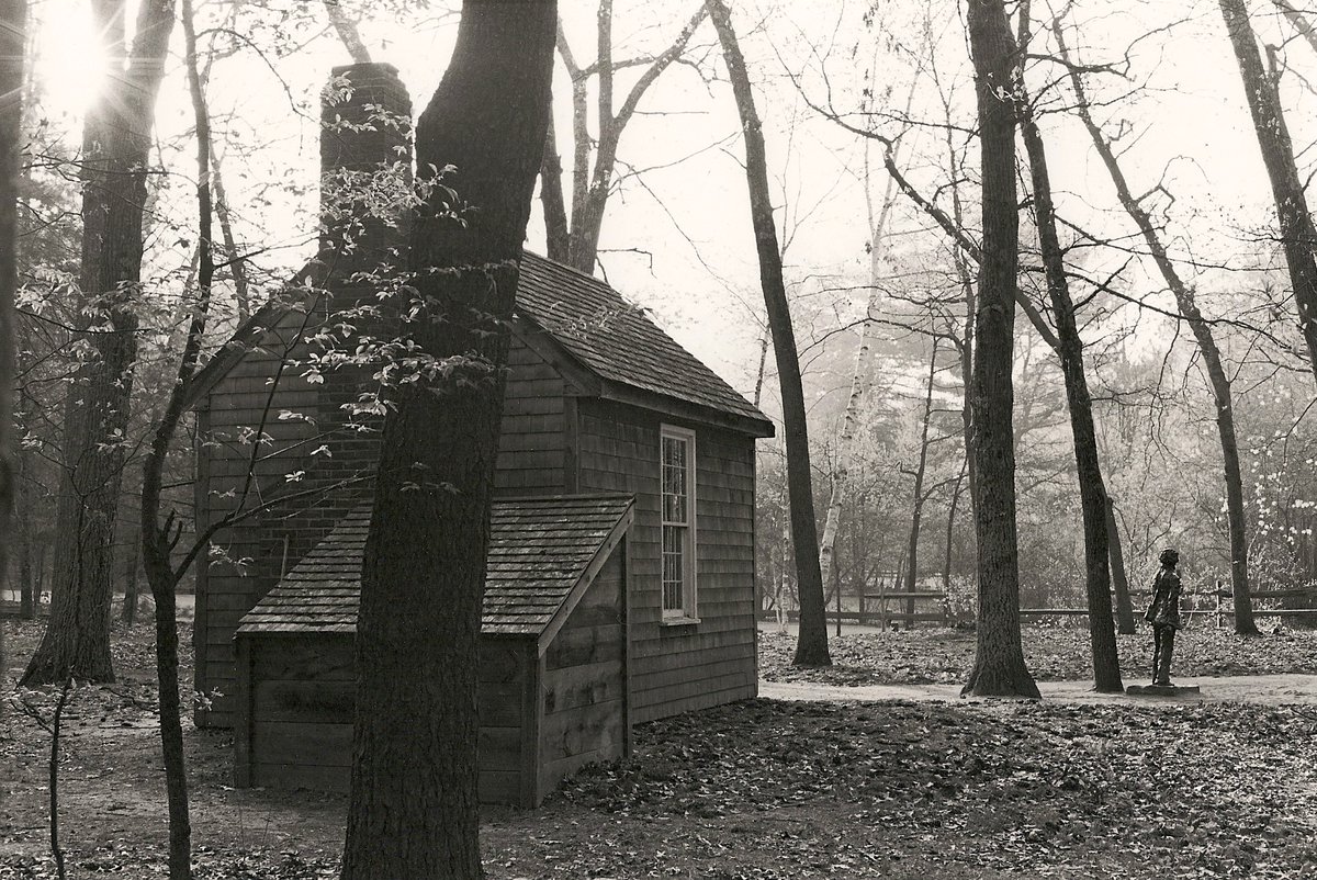 kalmantibs's tweet image. โThe price of anything is the amount of life you exchange for it.โ
โ Henry David Thoreau, Walden, 1854.
๐๐ผ๐๐๏ธ