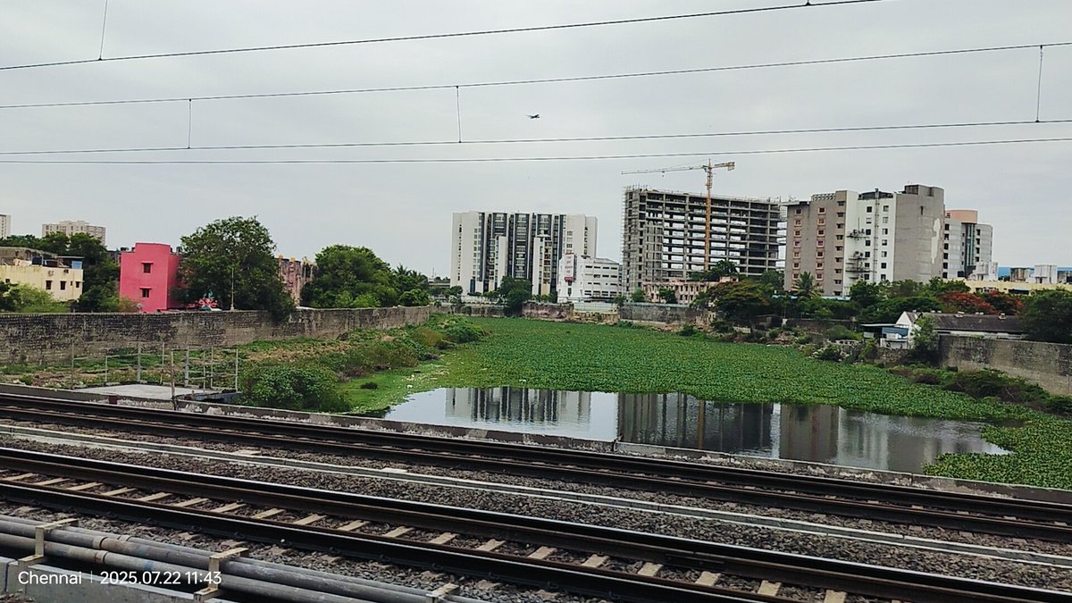 dayatiger197312's tweet image. Chennai #RiverRestoration is it really progressing 
#WaterHyacinth engulfing #AdyarRiver 
Until Sewage #Deflection is properly implemented we can&apos;t save the #DYING RIVERS in front of our eyes.
Visit #ChitlapakkamLake  Sewage DEFLECTION saved LAKE from Pollution and WaterHyacinth