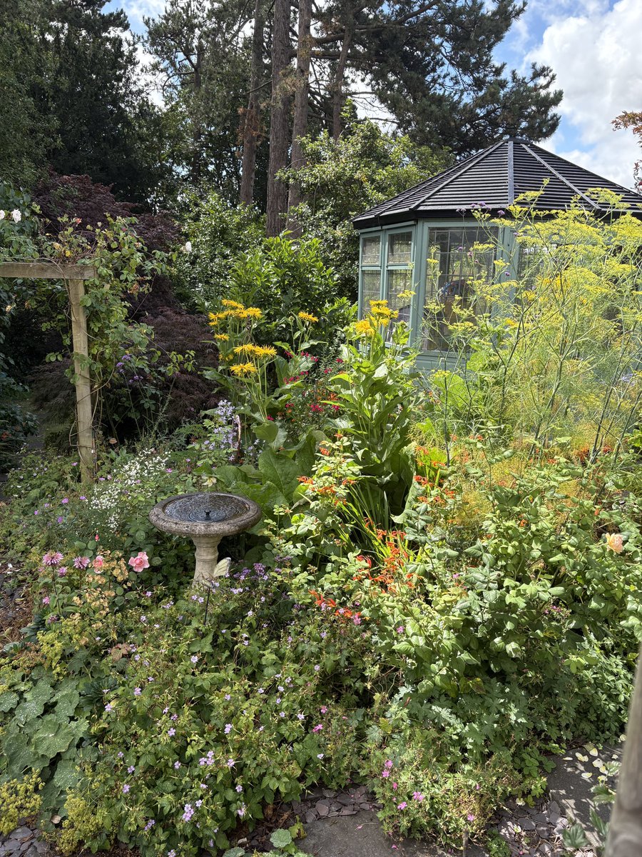ElizAthertonSop's tweet image. Some people might think this bed resembles a bit of a jungle right now, but I’m loving it, and so are the pollinators. A veritable haven for 🐝and 🦋!😊
#Flowers #Gardening #FlowerHunting
