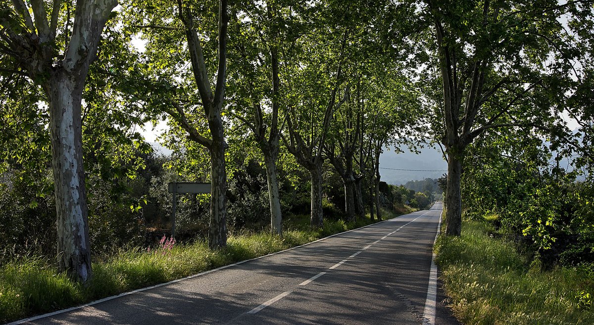 T'agrada conduir? 🚗A l'interior del Baix Camp hi trobareu tranquil·les carreteres que us portaran per llocs i poblets increïbles⛺

⛰️El Baix Camp t'ofereix diverses rutes en cotxe o en moto que et faran gaudir d'un patrimoni i uns paisatges inigualables 🏞 💘

#muntanyescd