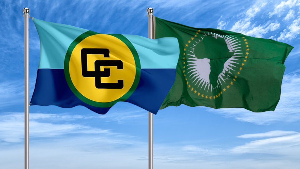 The Africa–CARICOM Heads of Government Summit is set for 7 September 2025!

We’re excited because we're not going to be watching from the sidelines! African civil society and the diaspora will influence what’s on the agenda (from #reparations, #education, #trade, #culture, and