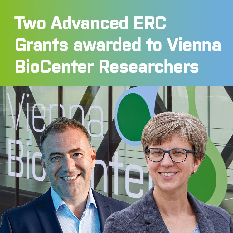viennabiocenter's tweet image. Two Advanced ERC Grants were awarded to Vienna BioCenter Researchers: Congratulations to Dagmar Woebken (CeMESS) and Alwin Köhler (Max Perutz Labs Vienna) on this achievement!
@cemess.bsky.social @MaxPerutzLabs
Read more: viennabiocenter.org/about/news/two…