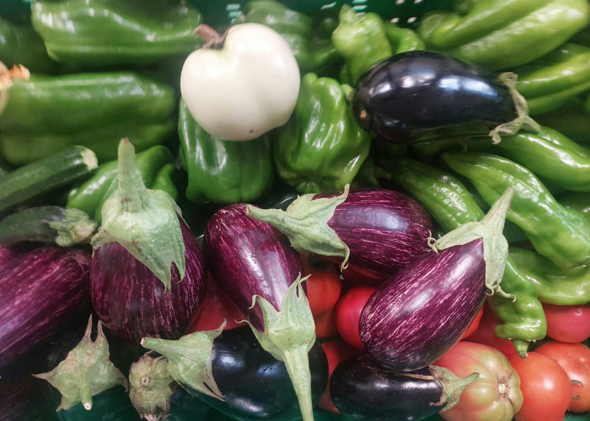 La terra per a qui la treballa! #mediambient #creurojaosona