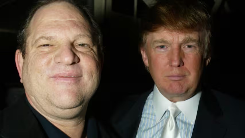 Eyeswideopen69's tweet image. Epstein wasn’t the only Stein whose company Trump enjoyed.
See the trend?