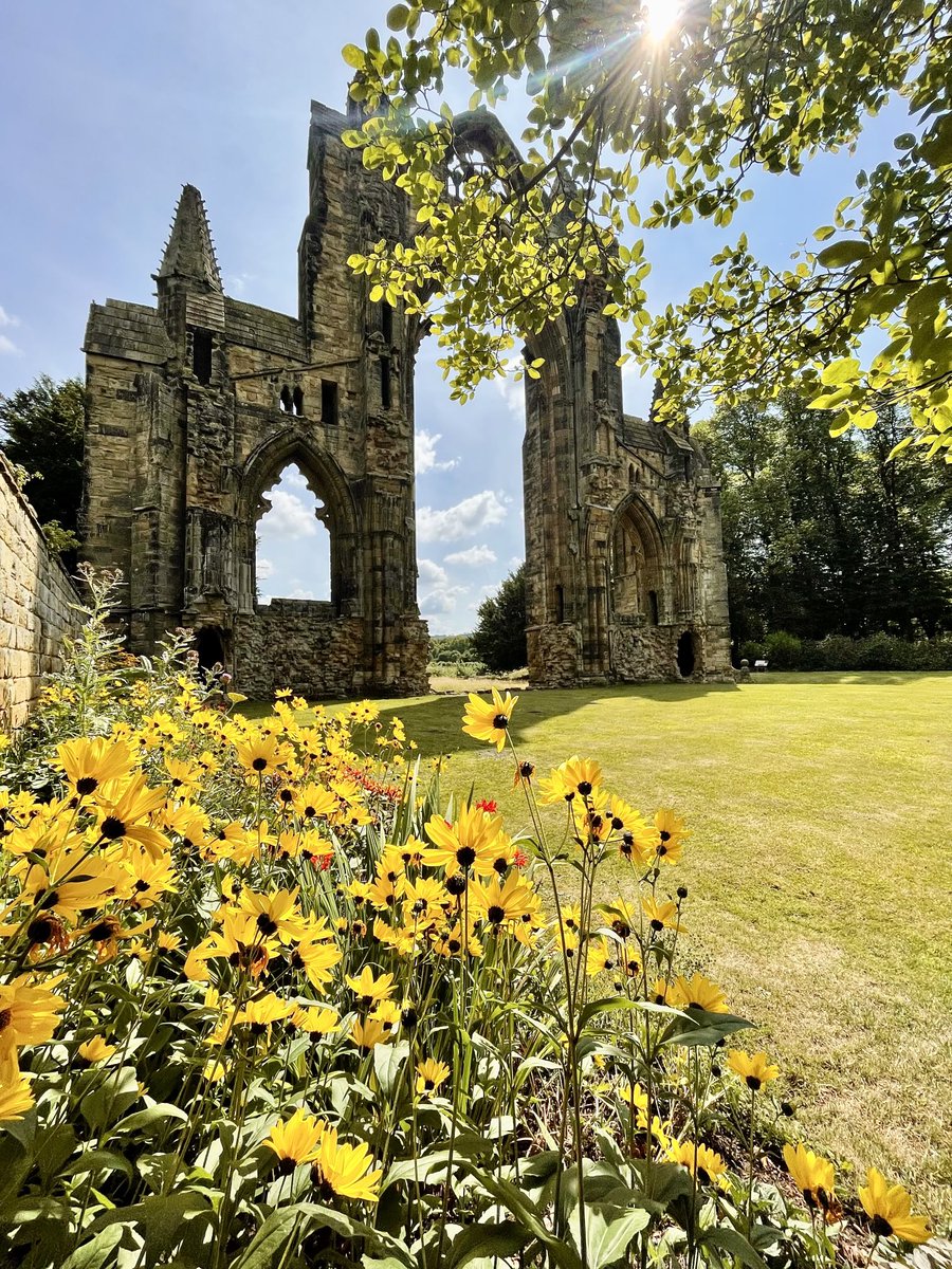 Nicky13Johnson's tweet image. Wishing you a terrific Tuesday from North Yorkshire 馃槉