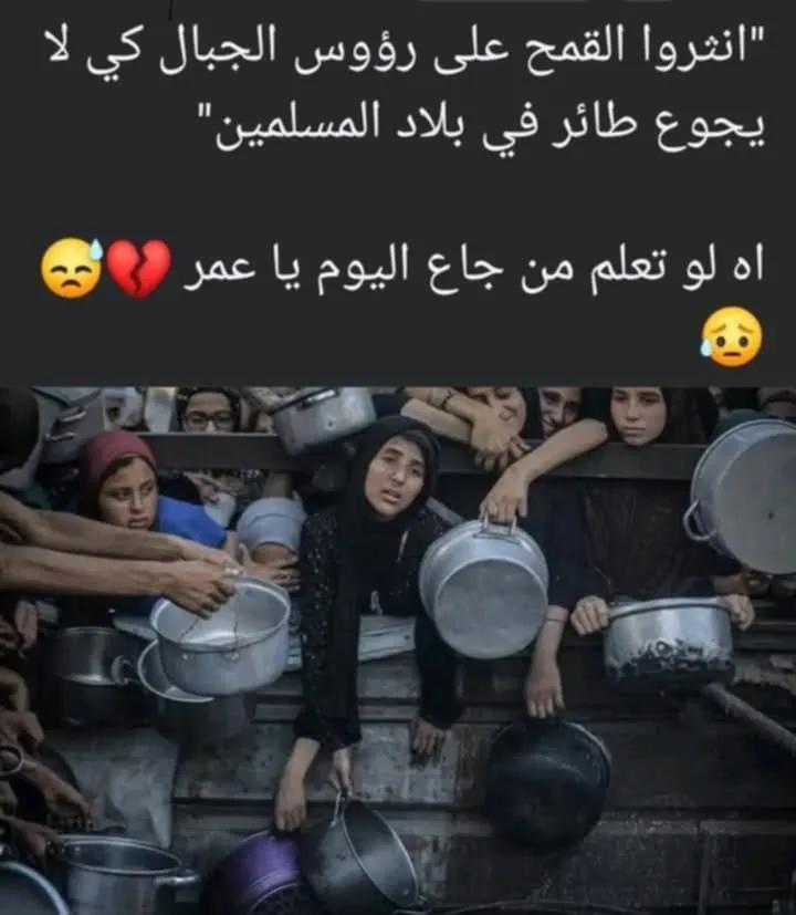 يَا رَبْ نَبرأُ لَك مِن هَذا العَجز الذِي قَطَّعَ قلُوبَنا.💔
انثروا القمح على رؤوسِ الجبال

لكي لا يقال جاع طير فِي بلاد المسلمين

لَوْ تدري من جاع اليوم يا عمر ❗❗

لاحول ولا قوة إلا بالله

اللهم إنا نبرأ إليك من هذا الخذلان 

#غزه_تموت_جوعاً