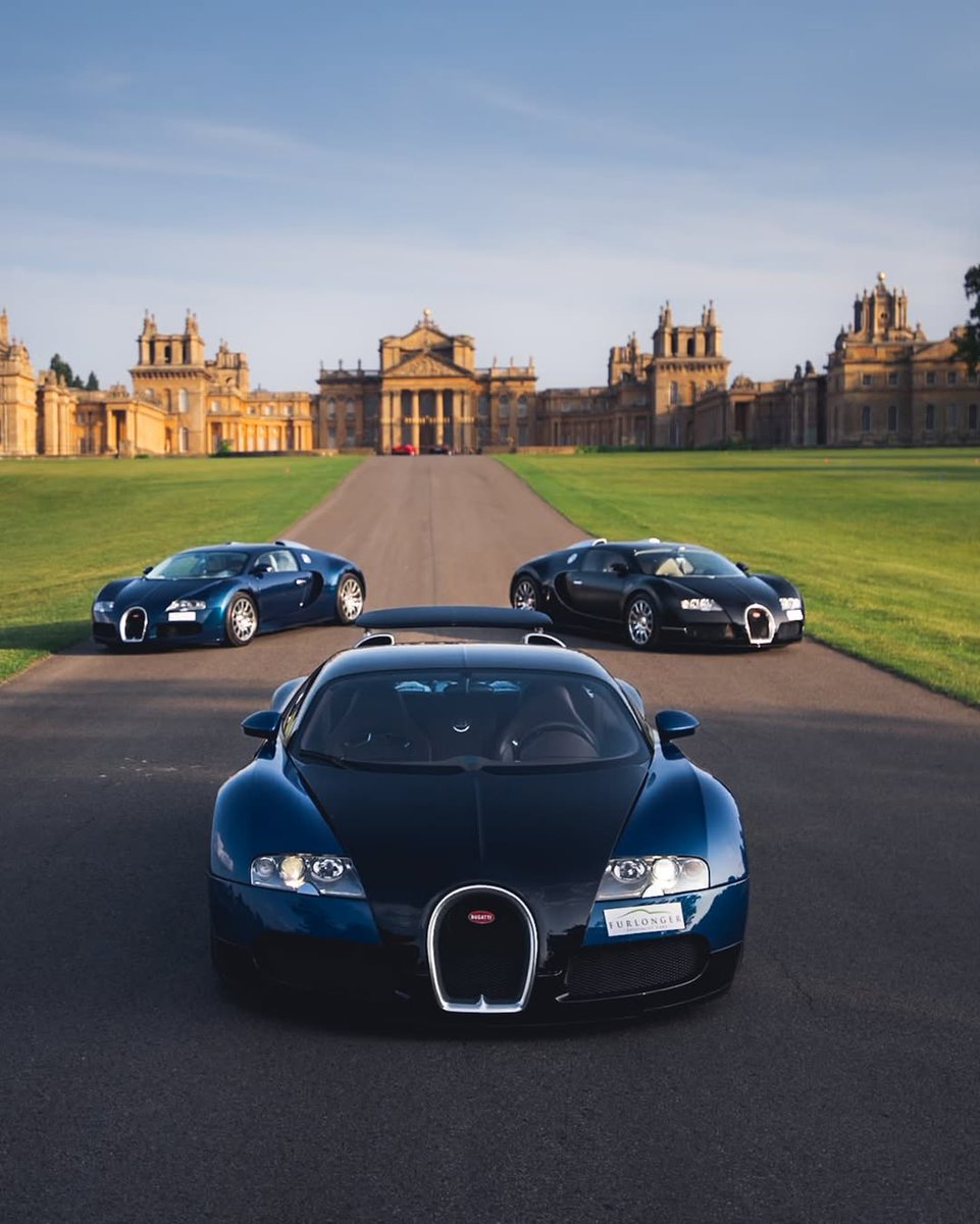 Witness a world record attempt for the largest-ever gathering of the Bugatti Veyron 🚨

We will honour its legacy in spectacular style, with an extraordinary display on the South Lawn of Blenheim Palace.

Join us on Friday 29 August to witness the display 🎫