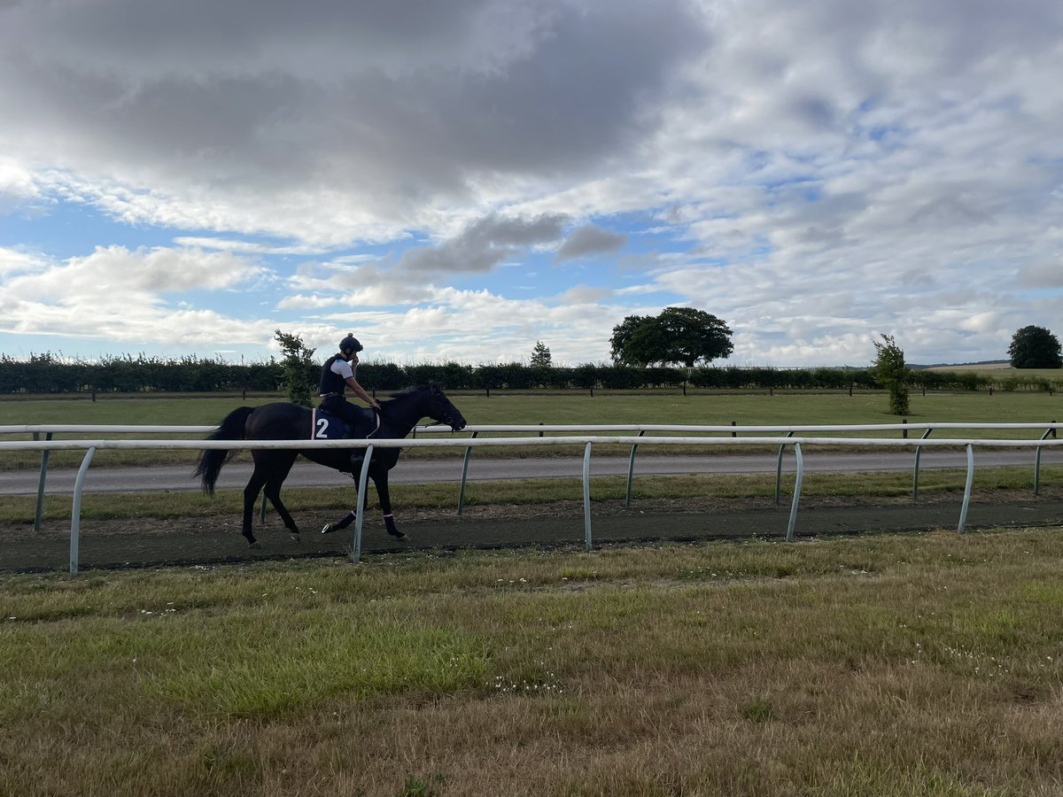 Liam Headd (@liamheaddrp) on Twitter photo A morning with <a href="/edwalkerracing/">Ed Walker Racing</a> ahead of next week’s Glorious Goodwood. Noble Champion (2) set for the Group 2 Lennox Stakes on the opening day A morning with <a href="/edwalkerracing/">Ed Walker Racing</a> ahead of next week’s Glorious Goodwood. Noble Champion (2) set for the Group 2 Lennox Stakes on the opening day