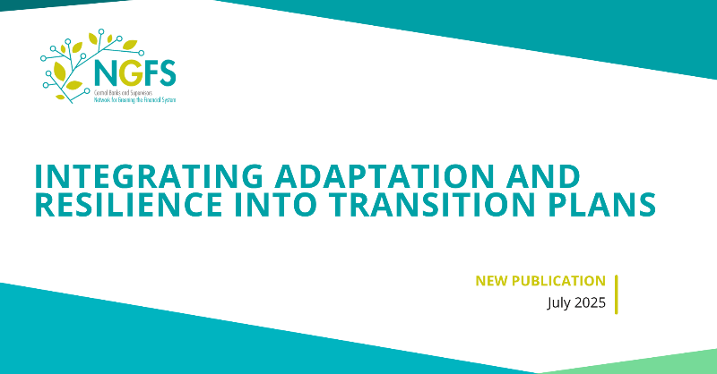 NGFS_'s tweet photo. 🌍 Our latest paper explores how to integrate adaptation and resilience into #TransitionPlans, supporting the G20’s 2025 priority to scale up #AdaptationFinance.

✅ Includes a maturity pathway to develop adaptation metrics &amp; targets and practical guidance.

 Read more