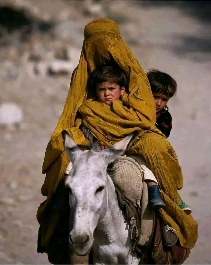WDIAfghanistan's tweet image. Some people claim that WDI Afghanistan is fake and urge others to report it so the page gets removed. But when I looked at their posts, I knew that person is surely a member of the Taliban.
The Taliban fear from WDI Afghanistan because it represents the real voices of women still…