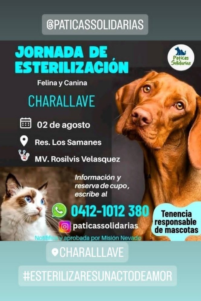 Volvemos a Charallave ! con nuestra  jornada mensual de esterilización. 

 El  #BienestarAnimal  es un compromiso para quienes amamos a los animales. 🐕🐈 .
Esterilizar a tiempo es la solución.

  Información escribe al 📱 0412-1012 380 solo WhatsApp.
#charallave #VallesDelTuy