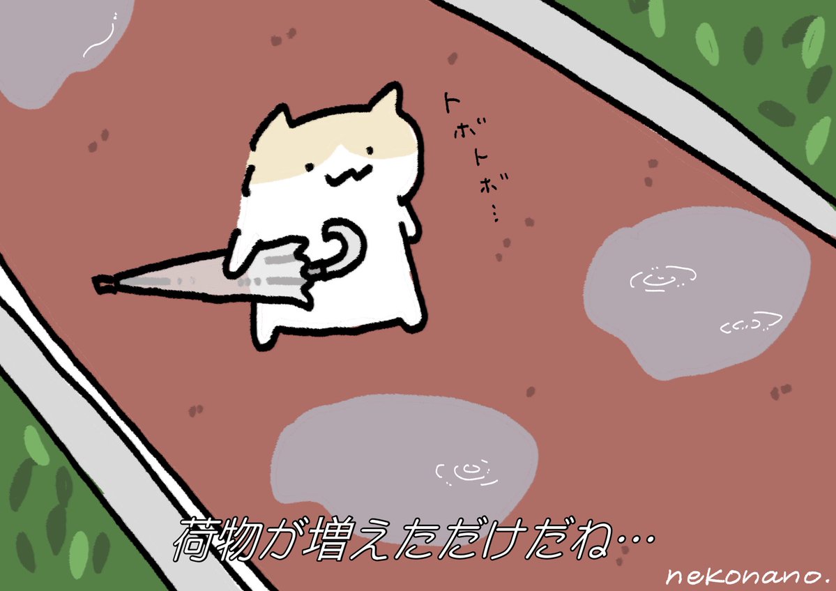 nekonano_28's tweet image. 家にビニール傘大量あるの、ねこなの。