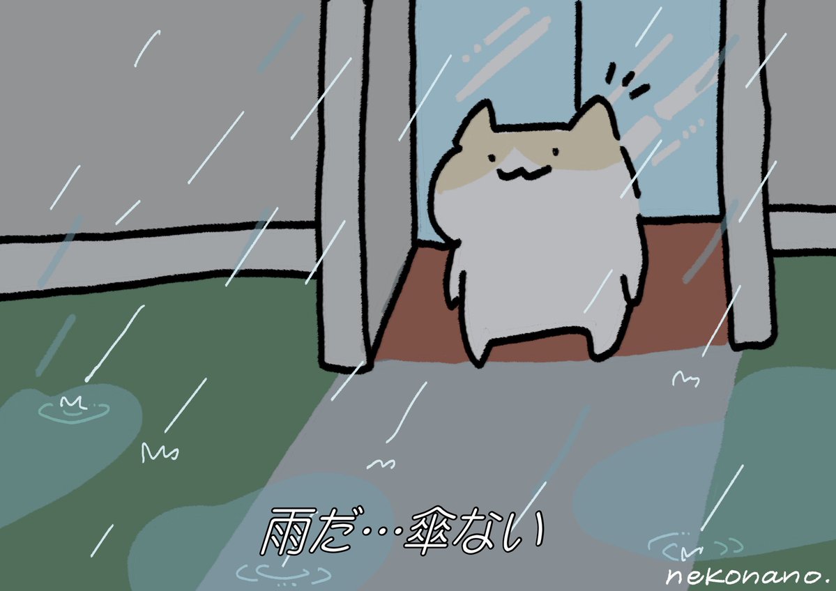 nekonano_28's tweet image. 家にビニール傘大量あるの、ねこなの。