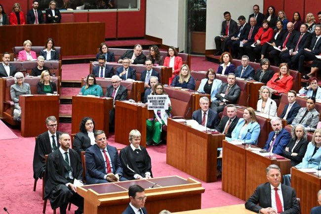 deves_katherine's tweet image. Australian Senate is NOT a place for street level protests
Have we really got six more years of this professional activist & grievance merchant?
Who only cares about Gaza & not the NSW people she was elected to represent?