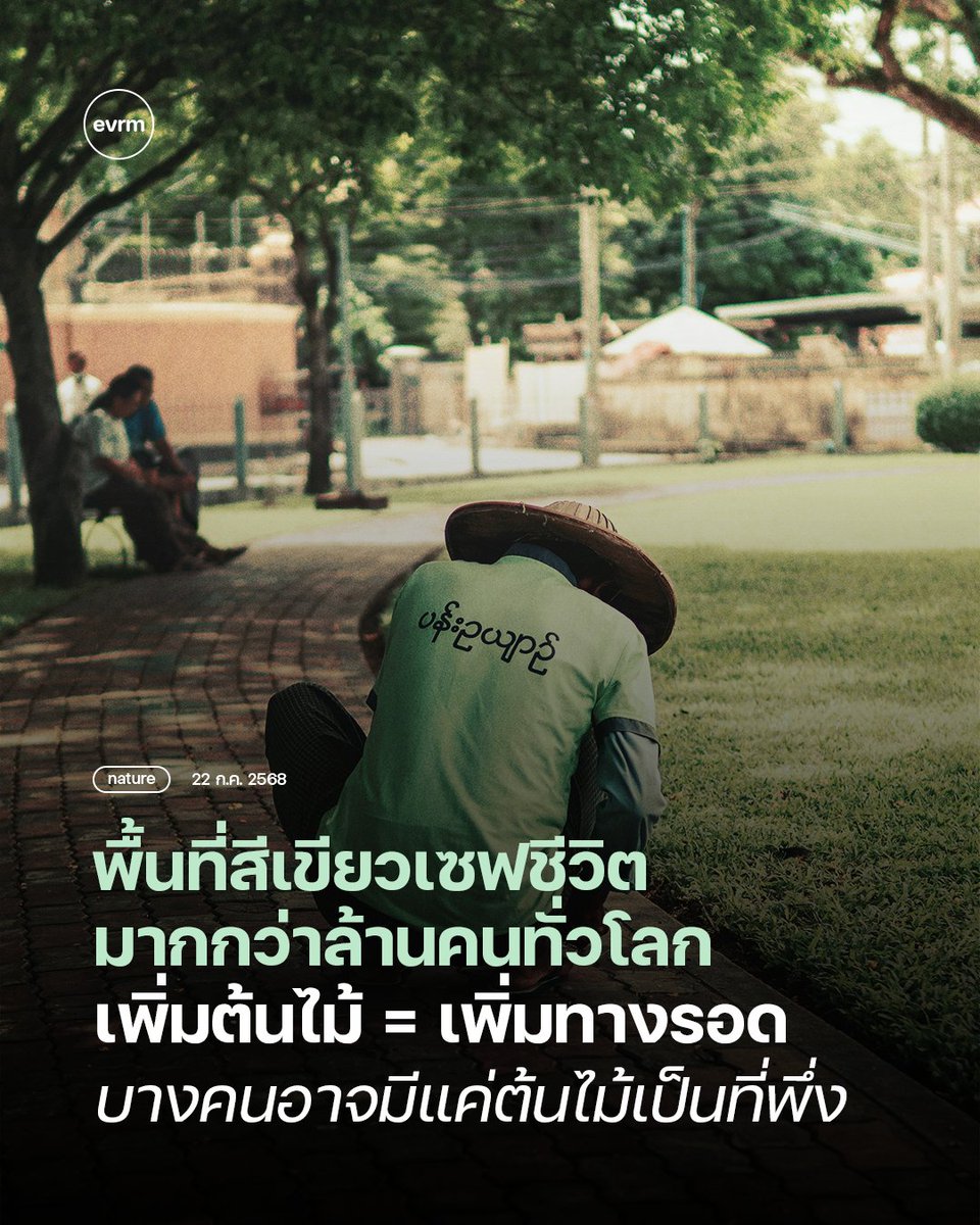 environmanth's tweet image. NATURE: พื้นที่สีเขียวที่มากขึ้น ช่วยชีวิตกว่าล้านคนทั่วโลกในช่วงสองทศวรรษ เพิ่มต้นไม้ = เพิ่มทางรอด เพราะบางคนอาจมีแค่ต้นไม้เป็นที่พึ่ง
พื้นที่สีเขียวในเมืองยิ่งกลายเป็นสิ่งสำคัญมากขึ้นในภาวะที่โลกเผชิญคลื่นความร้อนและต้องการร่มเงาที่พึ่งพิงเช่นนี้…