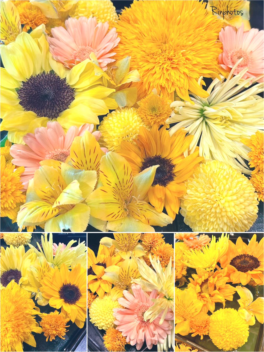 Zero58533086's tweet image. ɢ०ᵒᒄ ʍᵒ~ʳᐢⁱᐢᵍ・*:⋆゜
おはこんにちは👒*・
#大暑
𖡼.𖤣𖥧𖡼.𓇥 ֒𖡼.𖤣𖥧
花手水𓂂𓏲𓆸܀
心に花を
咲かせよう
優しい
微笑みの花を
❁⃘*.゚
花言葉
「憧れ」
🌸🍃ꔛꕤ
今週も宜しく
お願い致します
ღ Haνҽ ª ɢ♡♡Ð ɗaγ ღ٭:.*ஐೄ🌿✨☕♡𖧷𓍯 𓈒𓂂