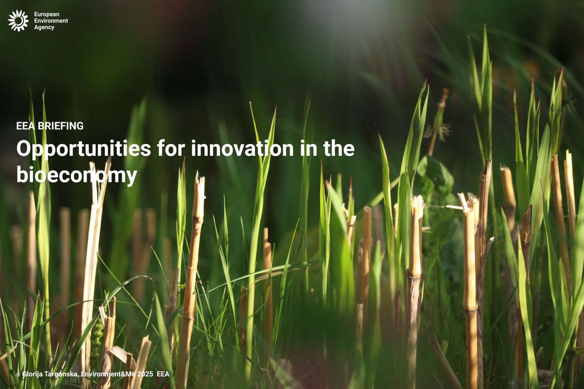 EUEnvironment's tweet image. 🌱 Bio-based innovation is growing — turning waste into resources across food, energy, textiles.
♻️ Less fossil fuel use. Lower emissions. Circular solutions.
How much biomass is too much?
🌍 Ecosystems & food security are at stake.
eea.europa.eu/en/analysis/pu…
#Bioeconomy