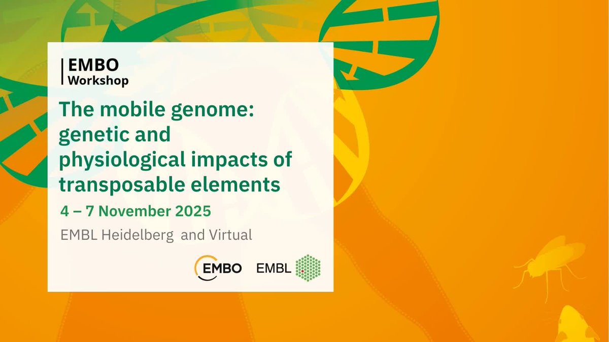 EMBLEvents's tweet image. 🧬🔍 Last chance to get your abstract in for 'The mobile genome: genetic and physiological impacts of transposable elements' – you have until 29 July! ⏰ #EMBOMobileGenome
👉🏼 s.embl.org/mge25-01-x
🧑🏼🔬⭐ Spotlight on you! 24 talks and 15 flash talks will be selected from poster…