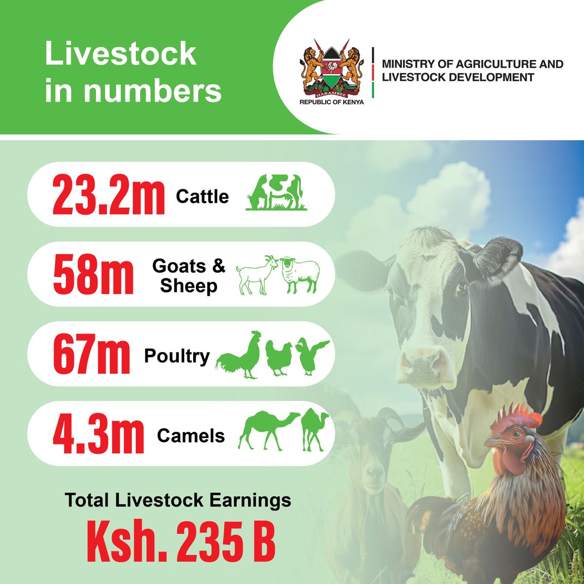 National Rabbit Conservation & Training institute (@rabbittrai75059) on Twitter photo 