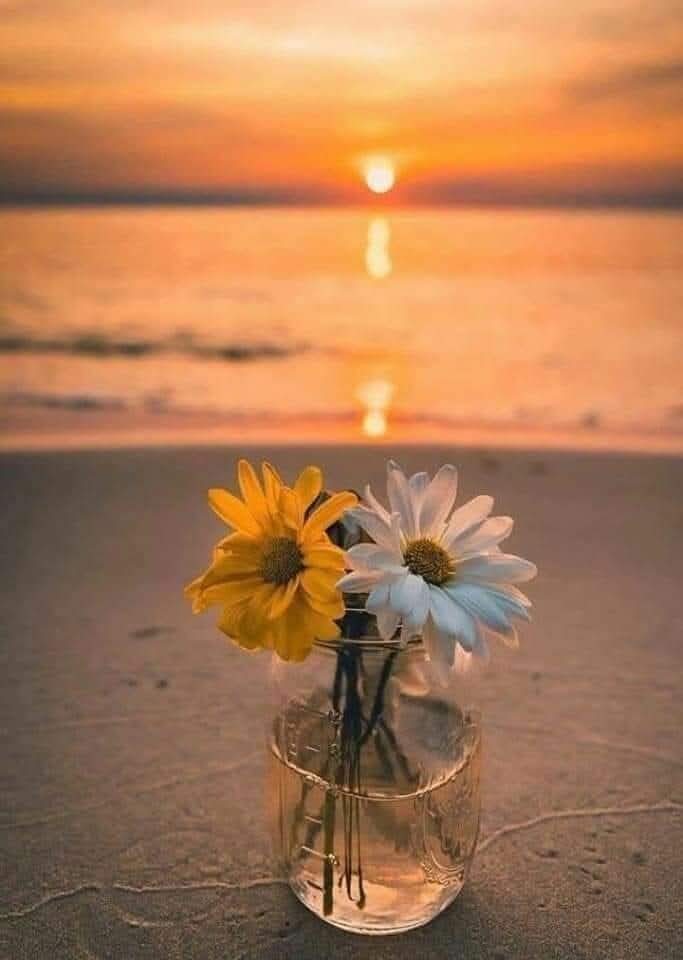 "Hatasız insan zaten yok, bize mahcubiyet lazım"...
                📚🕊️👒