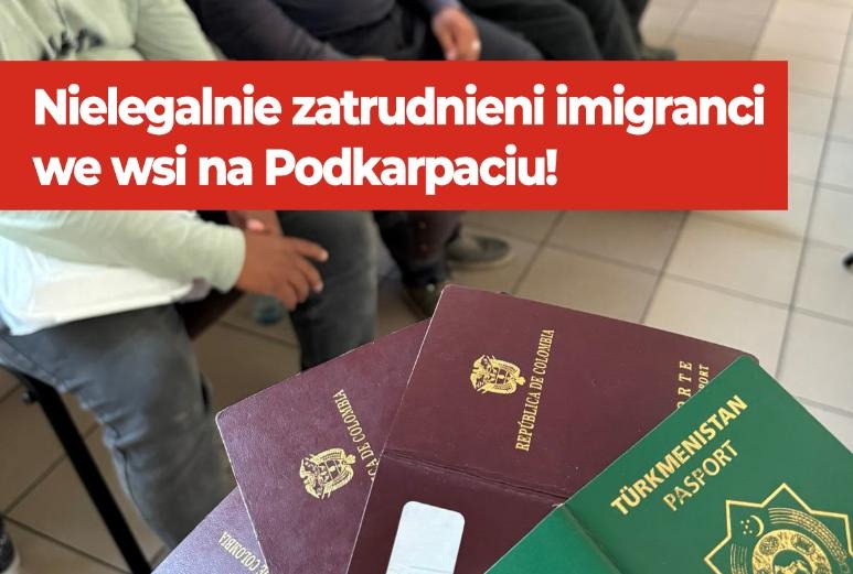 P_Zdunczyk's tweet image. Nielegalnie zatrudnieni imigranci we wsi na Podkarpaciu!
Znów cudzoziemcy, znów bez dokumentów, znów żadnej kontroli. Mówi się, że problem z migracją to problem dużych miast, guzik prawda!
W miejscowości Połomia (pow. strzyżowski) ujawniono, że czterech obcokrajowców – trzech…