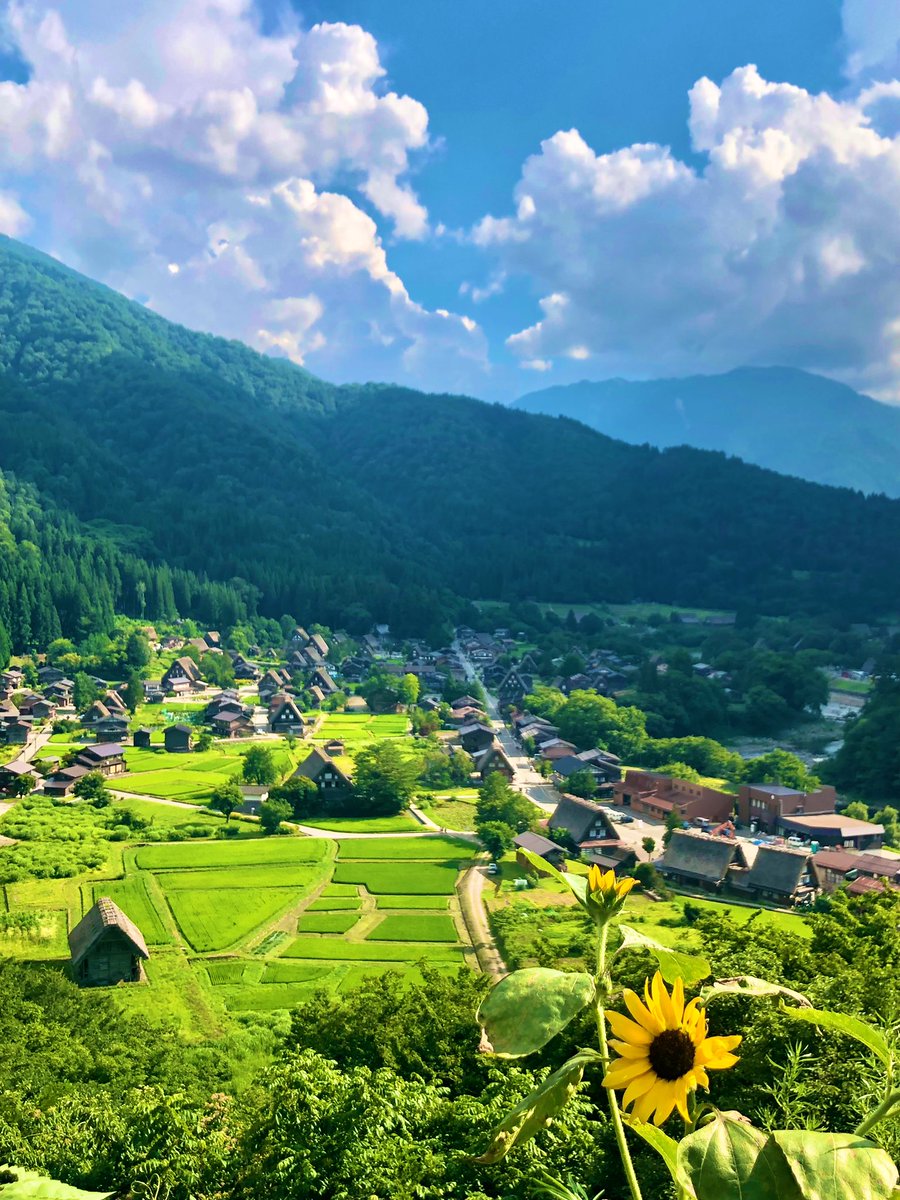 明日7/23(水)は定休日となります🌻