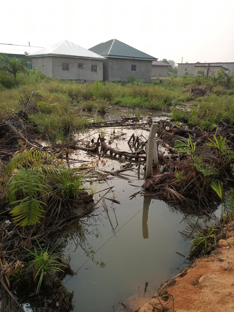 AbiluTangwa's tweet image. Unplanned urbanization and climate change are a dangerous duo in Sub-Saharan Africa. Over 60% of urban residents live in informal settlements, often in flood-prone areas with little to no drainage systems. In 2023, floods displaced 2.4 million people in Kenya, Somalia, and…
