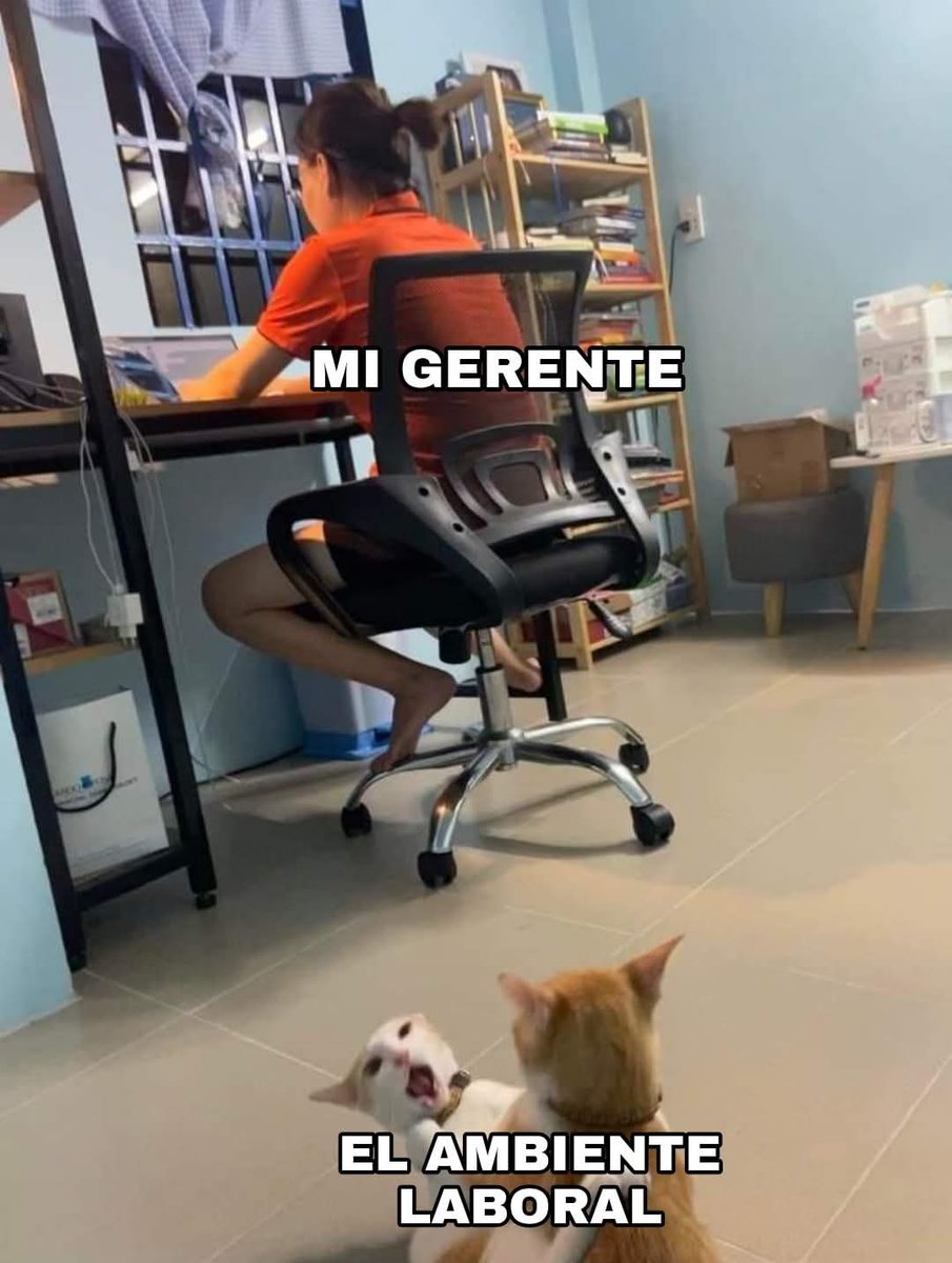 En Júpiter tweet media