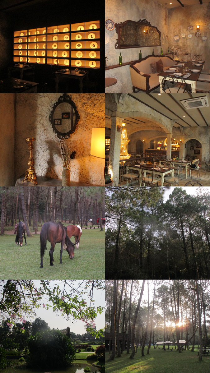 lalaiueo tweet media