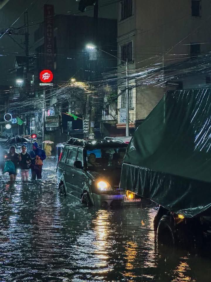 PurpleCommunityFund tweet media