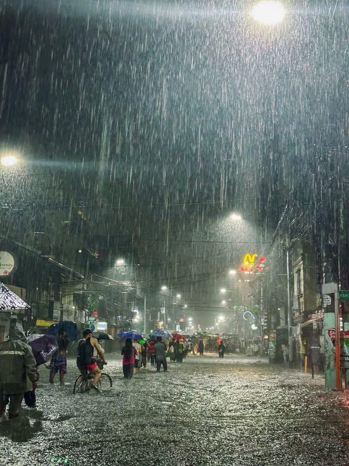 PurpleCommunityFund tweet media