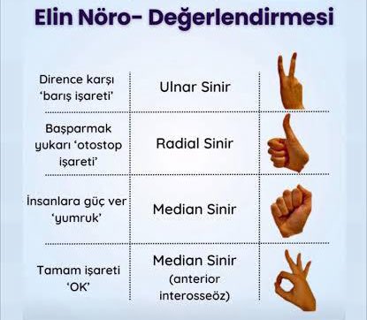 Ulnar sinir bir tık ayrılıkçı barış karşıtı sözde demokrasinin temsilcisi gibi geldi bilemedim
