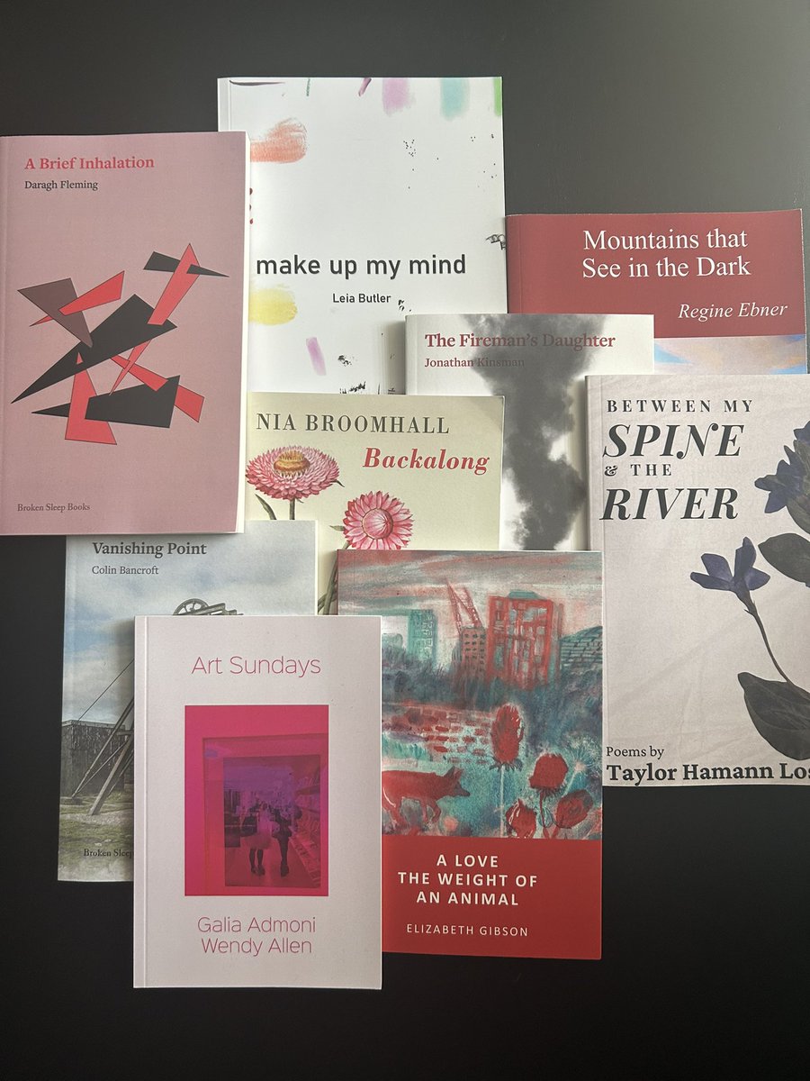 LouLouMach's tweet image. For @TopTweetTuesday here’s my recommended reading! No review as I’m on my way to sunny Scotland, but all of these collections are fab and if you haven’t read them, you should! ❤️
@RegineEbner @leiabellebutler @taylorhamannlos @brokensleep @Grizonne @niaandthepoems @DaraghFleming