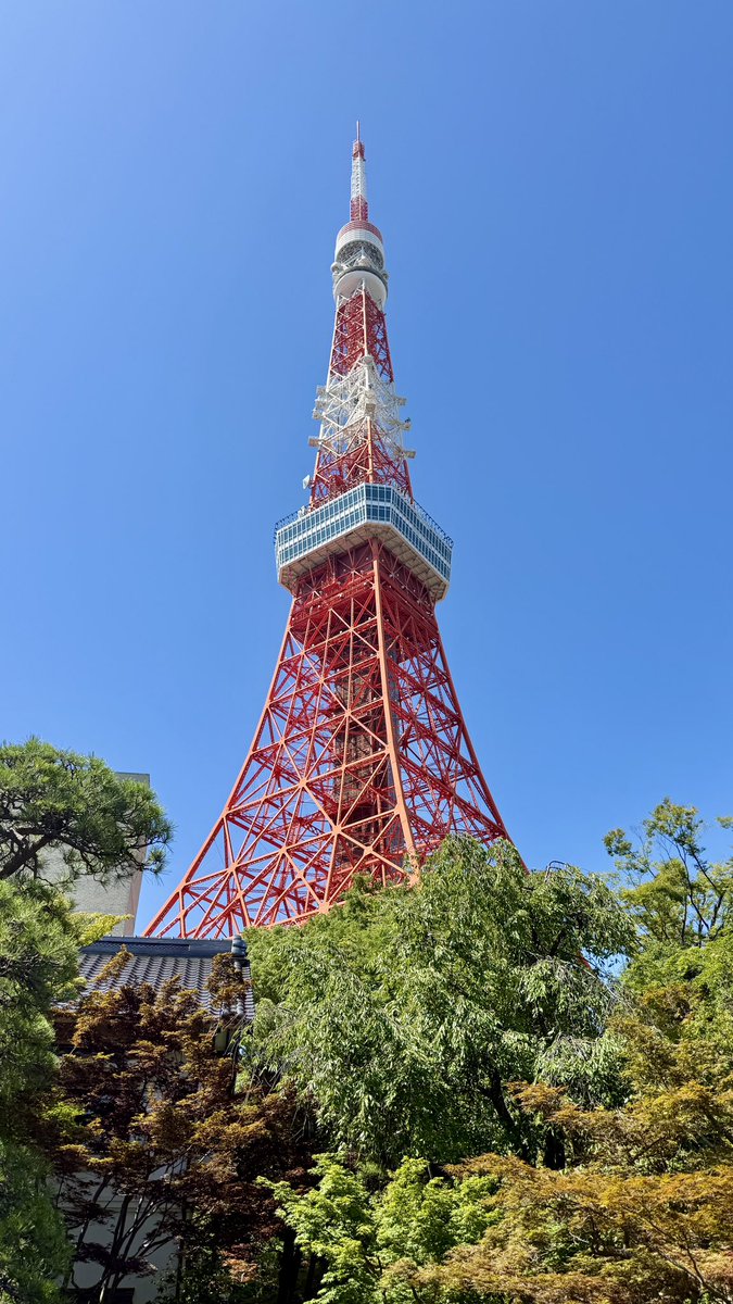 Tokyo Tower under a perfect blue sky 🗼
雲ひとつない東京タワー🗼