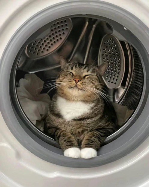 お気に入りの場所