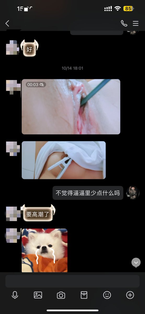 _001Xxx's tweet photo. # 各种贱狗没时间整理 https://t.co/t2zR9JGJul
