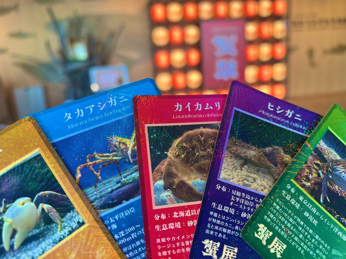 sendaiuminomori's tweet image. 【仙台うみの杜水族館】
蟹祭〈カーニバル〉🦀
カニ探しカードがオススメ🦀
カニおめんと、カニ探しカードを300円でゲットしたら、館内にいるカニを探そう!
1種類だけ館内にいないカニが、、、?!正解がわかった方には、カニコレクションカードを1枚プレゼント🦀
uminomori.jp/umino/kani2025/