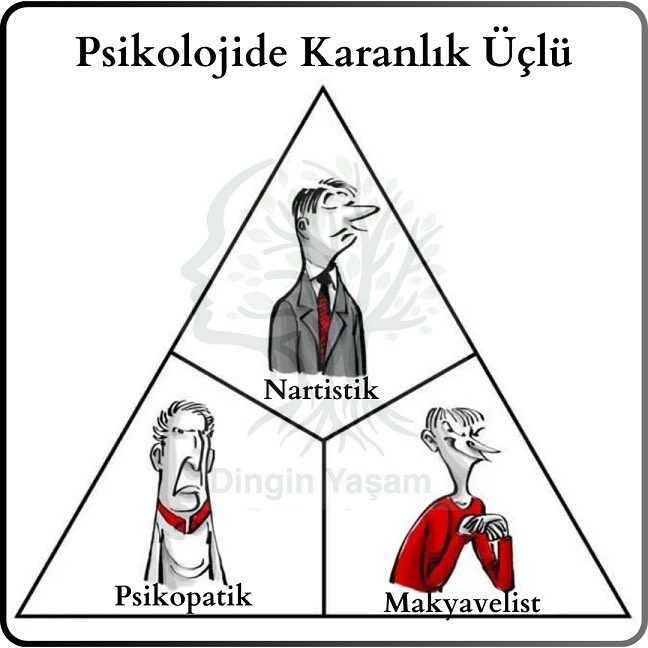 miandji's tweet image. Üç Hastalık:
-Benmerkezci (Narsiszim): Ben varsam olur, Önce ben, Ben bilirim.
-Çıkarmerkezci (Makyavelizm): Önce benim çıkarım, Amacıma ulaşmak için her yol mübahtır.
-Acımerkezci (psikopat): Başkasına acı verince sevinir.
🚩Hepsinin ortak noktası 'duygusal zekanın' olmamasıdır.