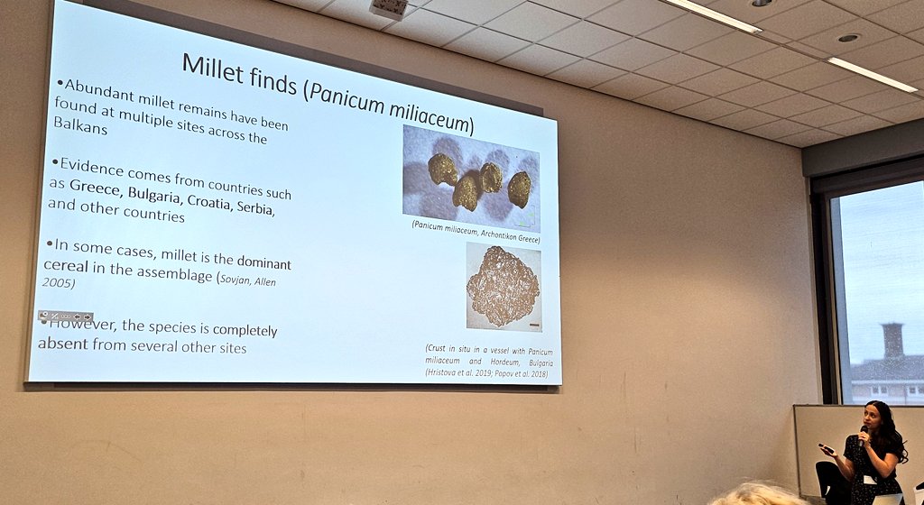 DrJenniferBates's tweet image. I'm in the parallel session at #IWGP2025 in #Groningen this morning & we're thinking about plant movements. "Cerealization", Mongolian crop introductions, lentils in India, Balkan millets and wheat in Italy are all topics covered
#archaeobotany #archaeology #archaeologicalscience