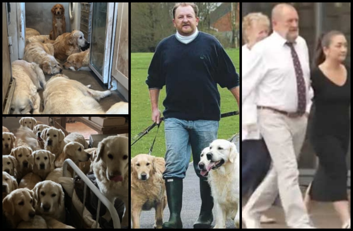 AdoptionsUk's tweet image. Please retweet CONVICTED | Nicolas St James, 62, from #Carhampton, near #Minehead, #Somerset #UK β kept dozens of golden retrievers in vile conditions, 2 were found dead, 34 others with injuries, disease or in pain π΄AVOIDS JAIL!!!!π΄
Nicolas St James, co-director of The Goldenβ¦