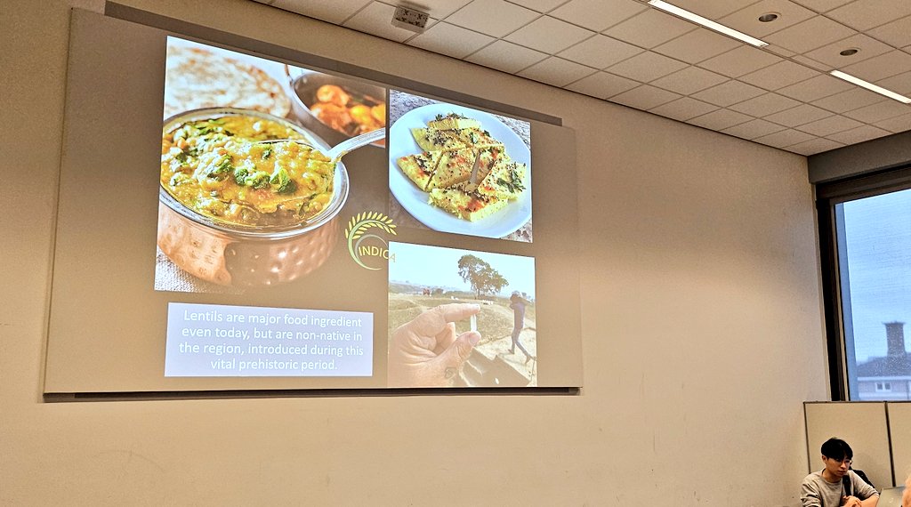 DrJenniferBates's tweet image. Amazing talk at #IWGP2025 from Indica Project member Kim Pangyu from @SeoulNatlUni on lentils cooking experiments in #India #archaeology.
#archaeobotany #archaeologicalscience