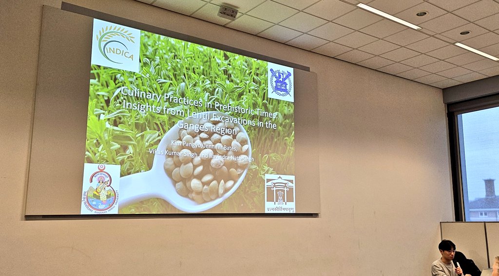 DrJenniferBates's tweet image. Amazing talk at #IWGP2025 from Indica Project member Kim Pangyu from @SeoulNatlUni on lentils cooking experiments in #India #archaeology.
#archaeobotany #archaeologicalscience