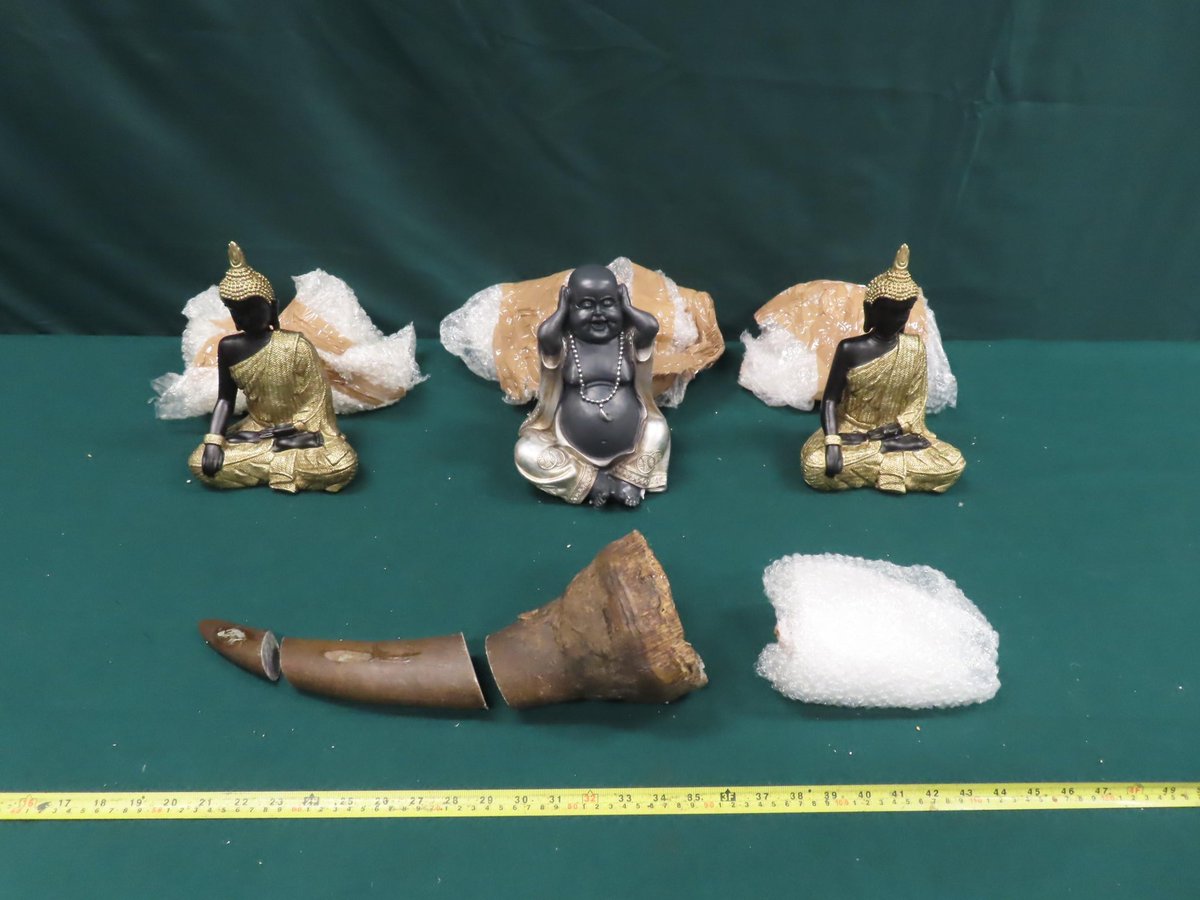 SueSpurgin's tweet image. #HongKong airport customs seizes #Rhino horns found in air postal packets declared to contain "ceramic ornament statues" imported from #Spain. 2 suspects have been arrested, if convicted will be liable to a max fine of $10M & imprisonment for 10 years.
info.gov.hk/gia/general/20…