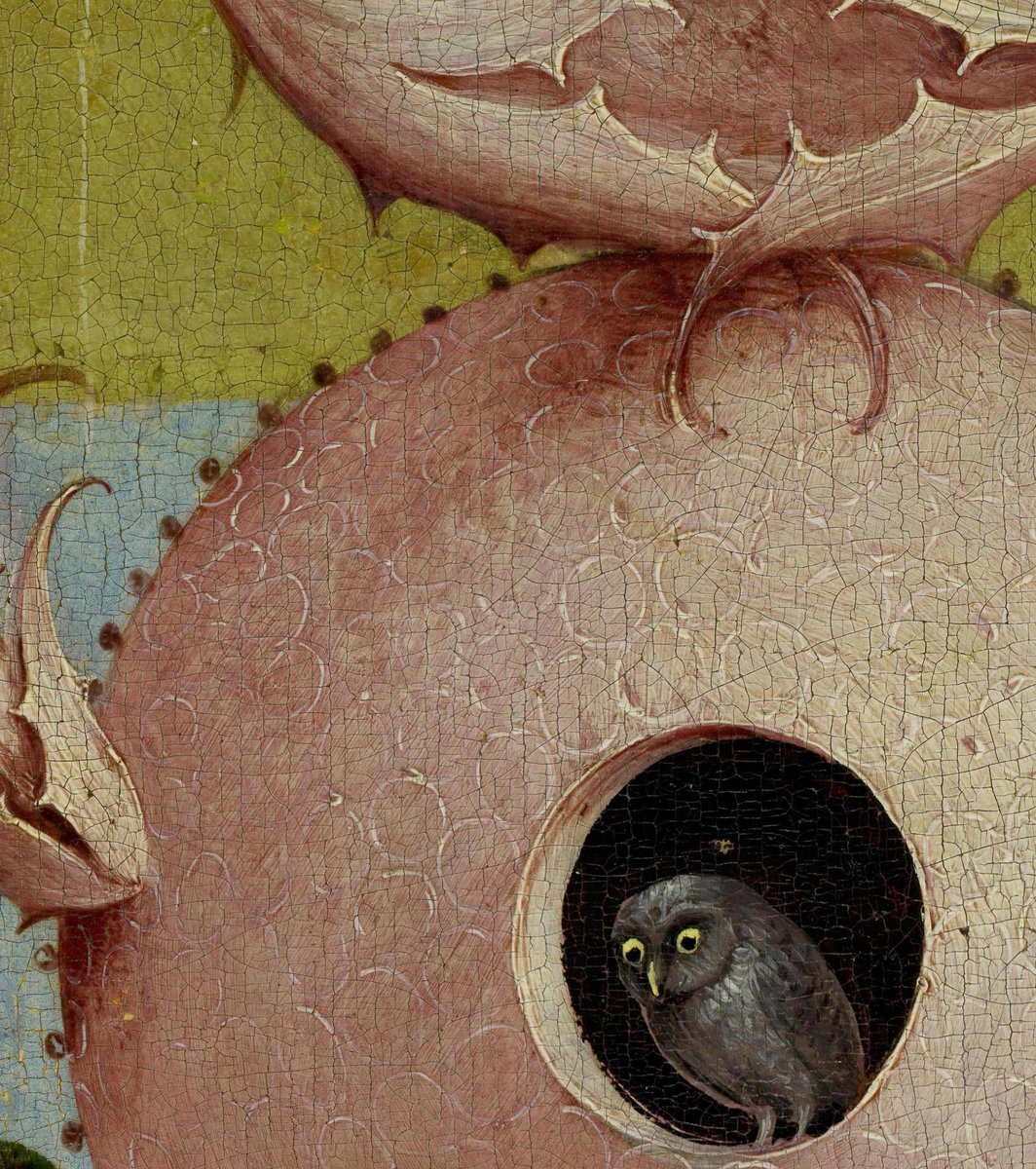 Garden of Earthly Delights